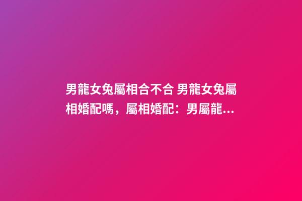 男龍女兔屬相合不合 男龍女兔屬相婚配嗎，屬相婚配：男屬龍和女屬兔相配嗎-第1張-觀點-玄機派